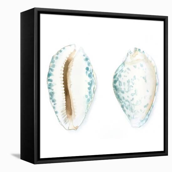 Watercolor Shells VI-Megan Meagher-Framed Stretched Canvas