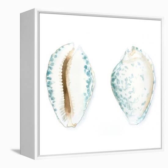 Watercolor Shells VI-Megan Meagher-Framed Stretched Canvas