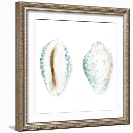 Watercolor Shells VI-Megan Meagher-Framed Art Print