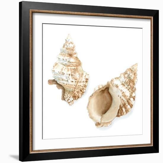 Watercolor Shells VII-Megan Meagher-Framed Art Print