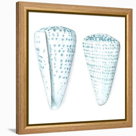 Watercolor Shells VIII-Megan Meagher-Framed Stretched Canvas