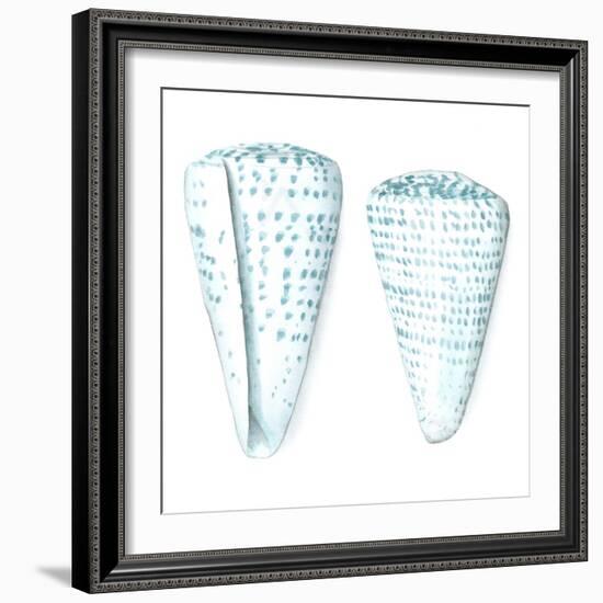 Watercolor Shells VIII-Megan Meagher-Framed Art Print