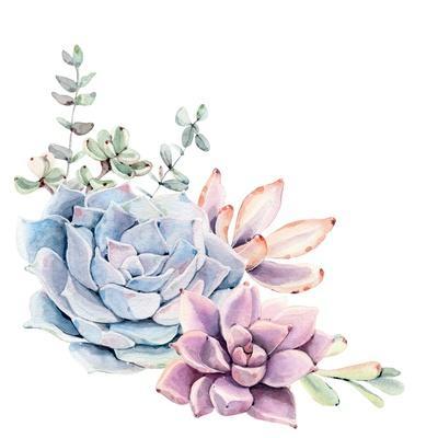 Watercolor Succulent Composition. Isolated Objects: Succulents, Plant. Hand  Painted Vintage Garden Premium Giclee Print | Art.com