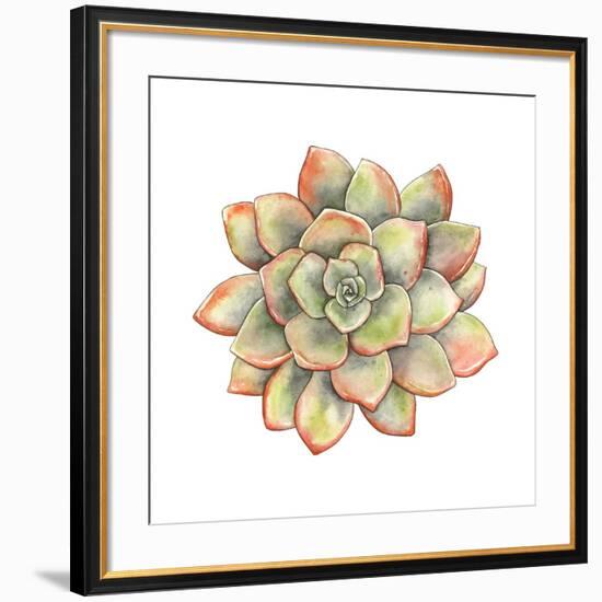 Watercolor Succulent, Vector Illustration in Vintage Style.-Nikiparonak-Framed Art Print