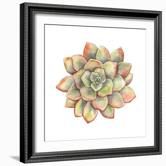 Watercolor Succulent, Vector Illustration in Vintage Style.-Nikiparonak-Framed Premium Giclee Print