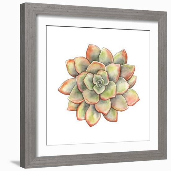 Watercolor Succulent, Vector Illustration in Vintage Style.-Nikiparonak-Framed Art Print