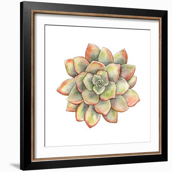 Watercolor Succulent, Vector Illustration in Vintage Style.-Nikiparonak-Framed Art Print