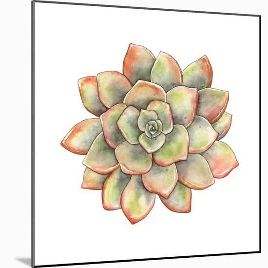 Watercolor Succulent, Vector Illustration in Vintage Style.-Nikiparonak-Mounted Art Print