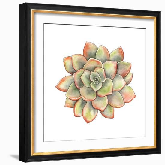 Watercolor Succulent, Vector Illustration in Vintage Style.-Nikiparonak-Framed Art Print