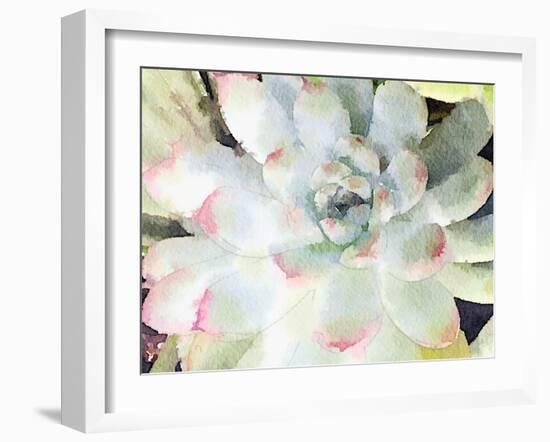 Watercolor Succulent-Nola James-Framed Art Print