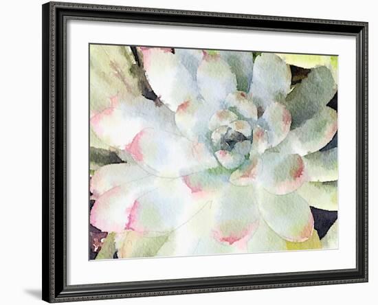 Watercolor Succulent-Nola James-Framed Art Print