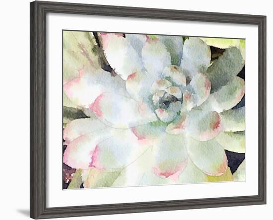 Watercolor Succulent-Nola James-Framed Art Print