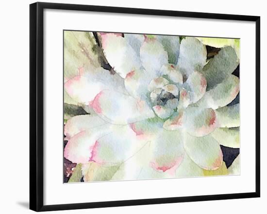 Watercolor Succulent-Nola James-Framed Art Print