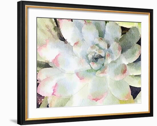 Watercolor Succulent-Nola James-Framed Art Print