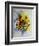 Watercolor Sunflowers-Pol Ledent-Framed Art Print