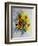 Watercolor Sunflowers-Pol Ledent-Framed Premium Giclee Print