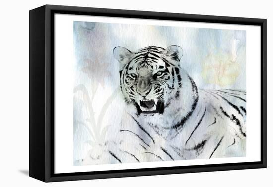 Watercolor Tiger-Sheldon Lewis-Framed Stretched Canvas