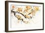 Watercolor Tree Branch I-Samuel Dixon-Framed Art Print