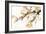 Watercolor Tree Branch II-Samuel Dixon-Framed Art Print