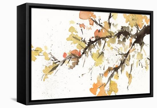 Watercolor Tree Branch II-Samuel Dixon-Framed Stretched Canvas