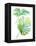 Watercolor Tropical 1-Mary Escobedo-Framed Stretched Canvas