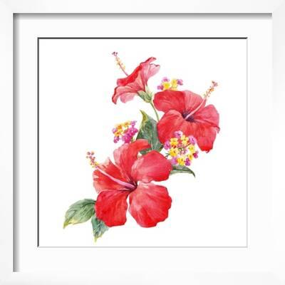 Watercolor Painting Red Hibiscus Flower Solid-Faced Canvas Print