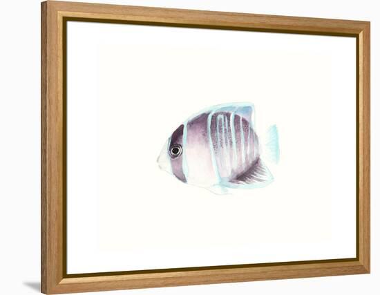 Watercolor Tropical Fish III-Naomi McCavitt-Framed Stretched Canvas