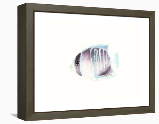 Watercolor Tropical Fish III-Naomi McCavitt-Framed Stretched Canvas