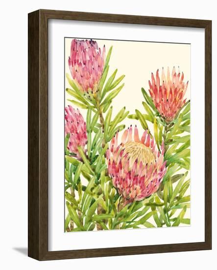 Watercolor Tropical Flowers II-Tim OToole-Framed Art Print