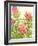 Watercolor Tropical Flowers II-Tim OToole-Framed Art Print