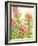 Watercolor Tropical Flowers II-Tim OToole-Framed Art Print