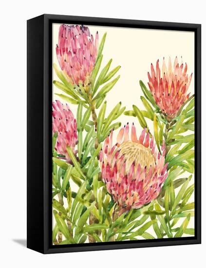 Watercolor Tropical Flowers II-Tim OToole-Framed Stretched Canvas