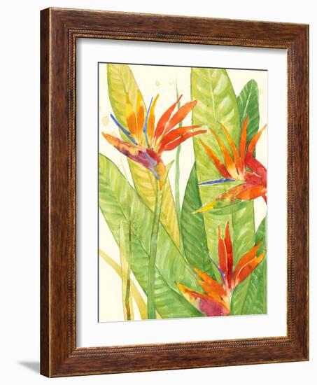 Watercolor Tropical Flowers III-Tim OToole-Framed Art Print