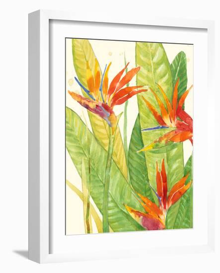 Watercolor Tropical Flowers III-Tim OToole-Framed Art Print