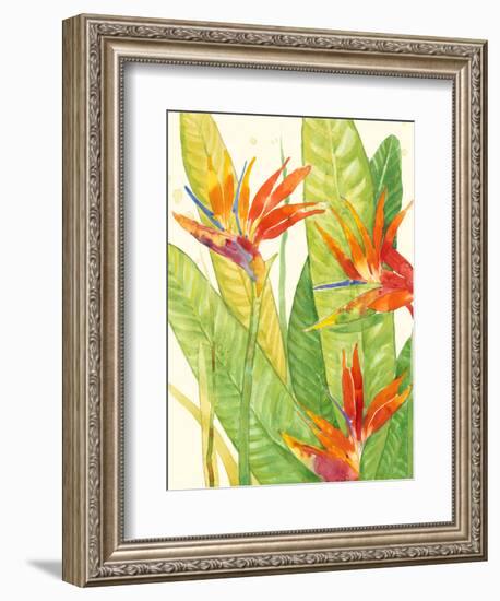 Watercolor Tropical Flowers III-Tim OToole-Framed Premium Giclee Print