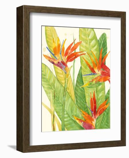 Watercolor Tropical Flowers III-Tim OToole-Framed Premium Giclee Print