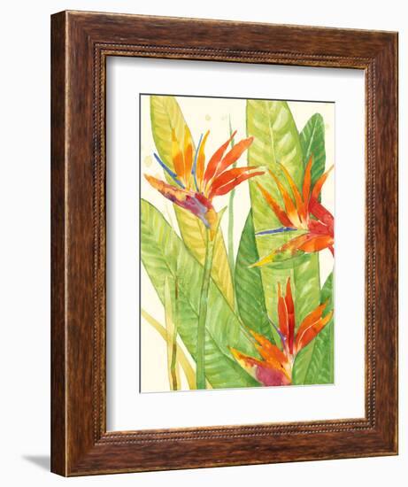 Watercolor Tropical Flowers III-Tim OToole-Framed Premium Giclee Print