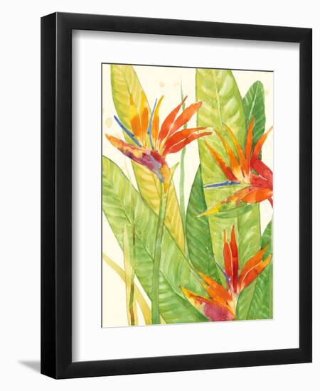 Watercolor Tropical Flowers III-Tim OToole-Framed Premium Giclee Print