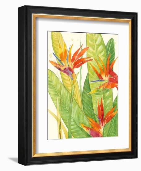 Watercolor Tropical Flowers III-Tim OToole-Framed Premium Giclee Print