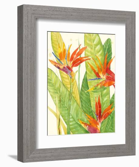 Watercolor Tropical Flowers III-Tim OToole-Framed Art Print