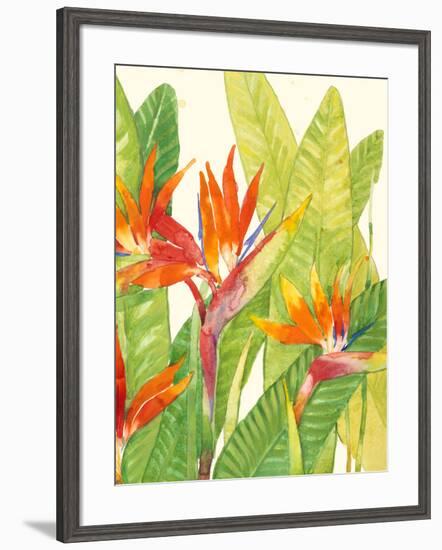 Watercolor Tropical Flowers IV-Tim OToole-Framed Art Print