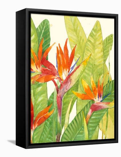 Watercolor Tropical Flowers IV-Tim OToole-Framed Stretched Canvas