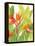 Watercolor Tropical Flowers IV-Tim OToole-Framed Stretched Canvas