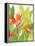 Watercolor Tropical Flowers IV-Tim OToole-Framed Stretched Canvas