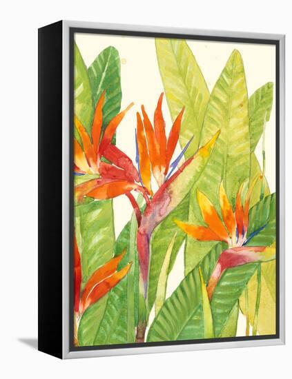 Watercolor Tropical Flowers IV-Tim OToole-Framed Stretched Canvas