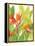 Watercolor Tropical Flowers IV-Tim OToole-Framed Stretched Canvas