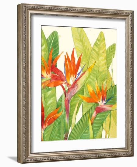 Watercolor Tropical Flowers IV-Tim OToole-Framed Art Print