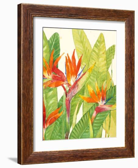 Watercolor Tropical Flowers IV-Tim OToole-Framed Art Print