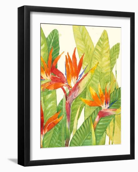 Watercolor Tropical Flowers IV-Tim OToole-Framed Art Print