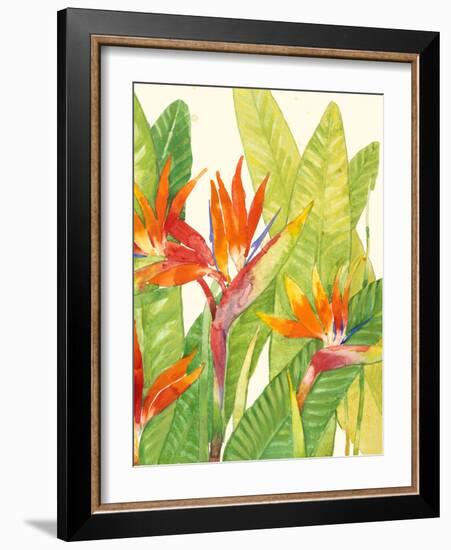 Watercolor Tropical Flowers IV-Tim OToole-Framed Art Print